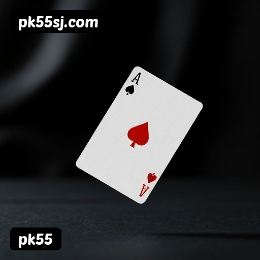 Promoções e bônus exclusivos da pk55